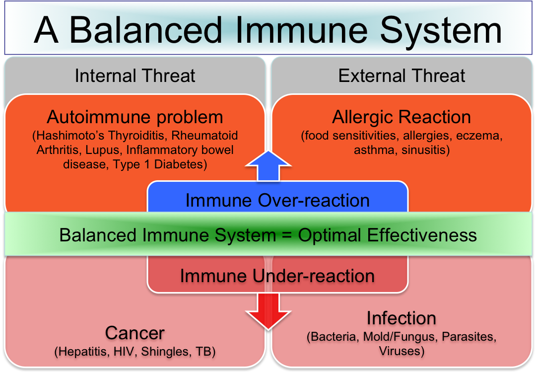 What Is the Immune System?
